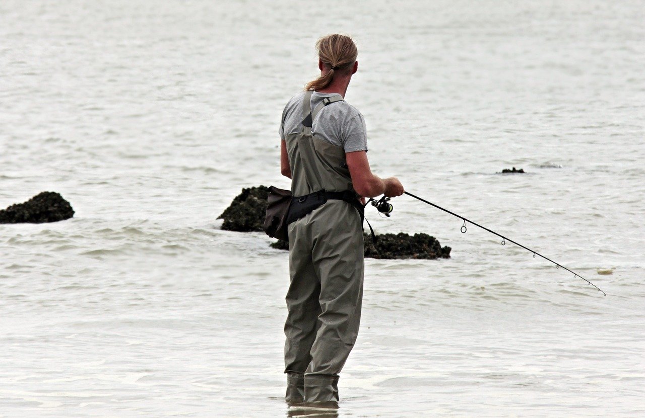 angler, fishing, north sea, waters, fisherman, sea, nature, beach, leisure time, water, sports, coast, recreational sports, fishing rod, angler pants